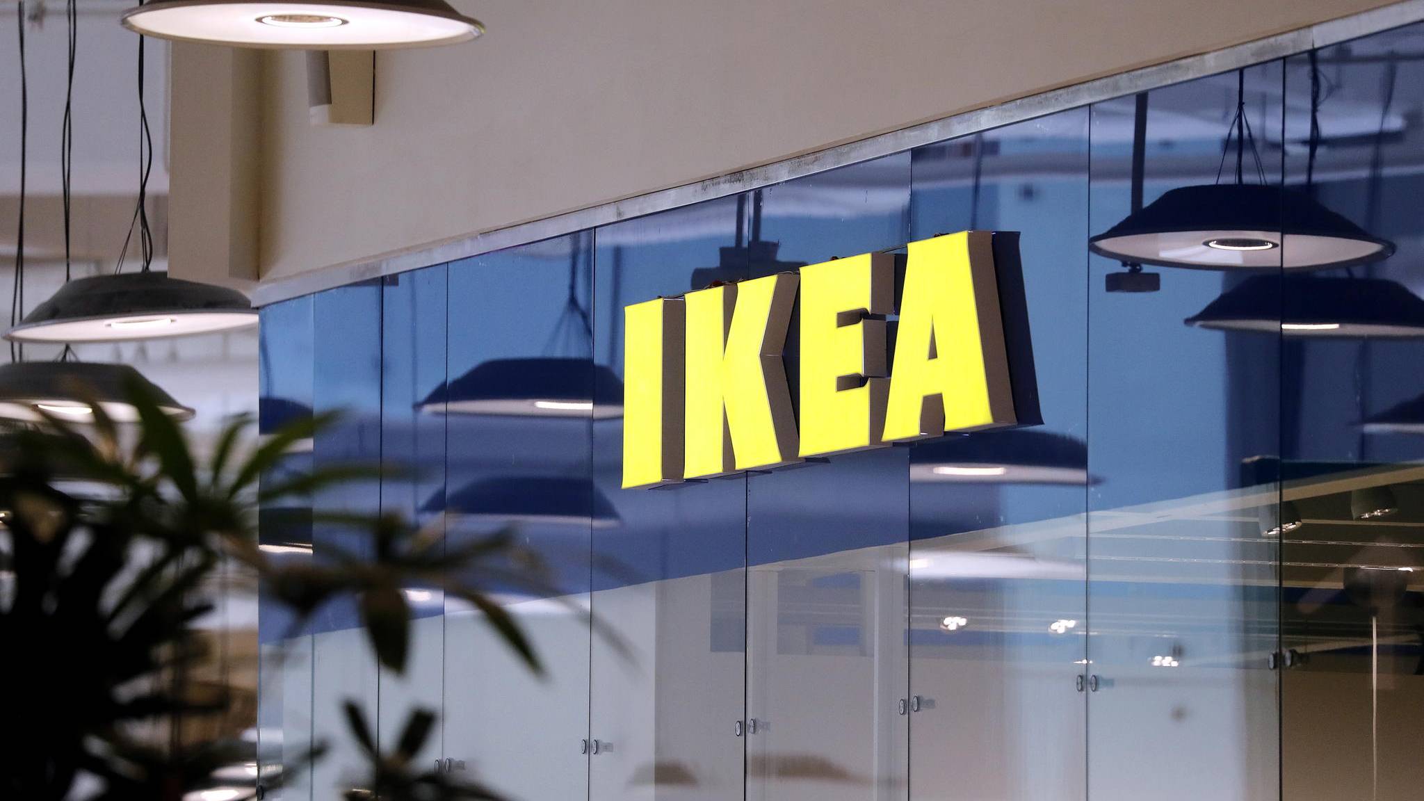 IKEA провела розслідування і не знайшла доказів використання нелегального буку із Закарпаття