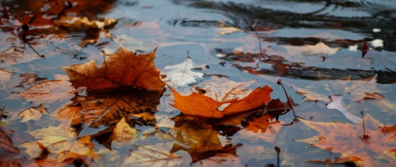 Прогноз погоди на 2 жовтня: очікуються рясні дощі