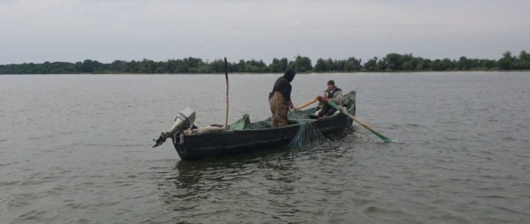 Збитки на майже 81 тисячу гривень: на Закарпатті, лише за вересень, було проведено 22 рибоохоронних рейди