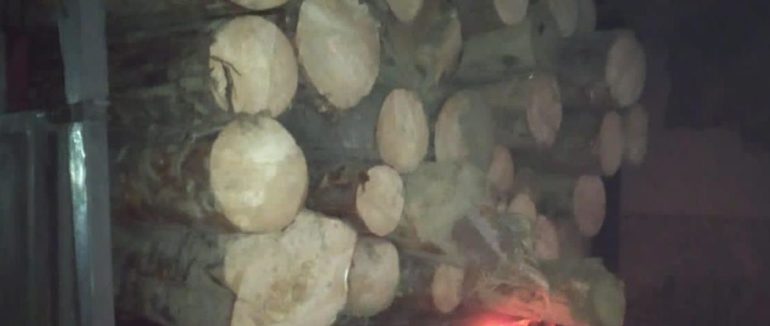 Незаконне вивезення деревини зупинено на Рахівщині