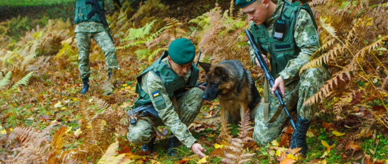 Три тисячі пачок сигарет до Угорщини: закарпатські прикордонники зупинили тютюнову контрабанду