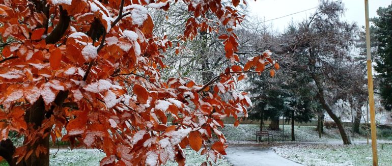 Зима близько: вулиці Мукачева вкрило першим снігом