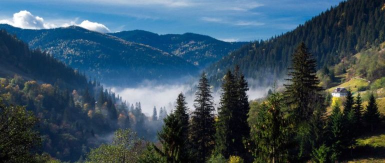 Карпати у небезпеці: у ООН занепокоєні ситуацією