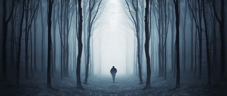 Випасав овець: на Іршавщині знайшли тіло 64-річного чоловіка