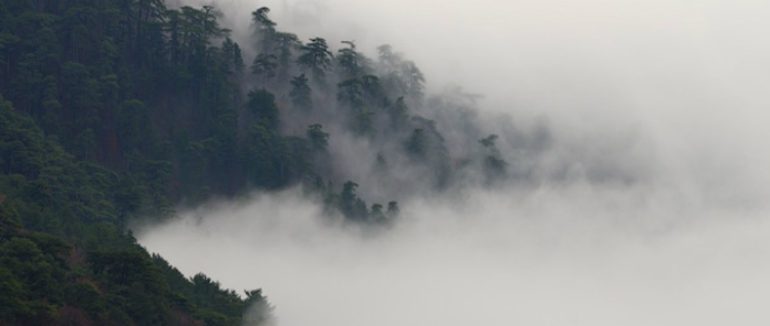 На Закарпатті очікується погіршення погодних умов