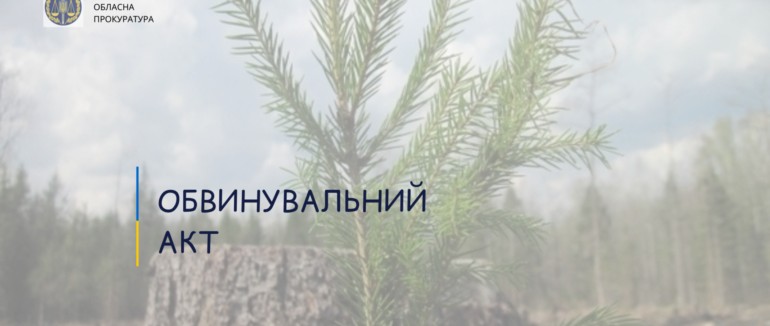 На Закарпатті судитимуть 44-річного майстра лісу за допущені рубки на території Мокрянського лісництва