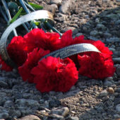 Загинула вся сім’я: що зумовило ДТП в Лалово на Мукачівщині?