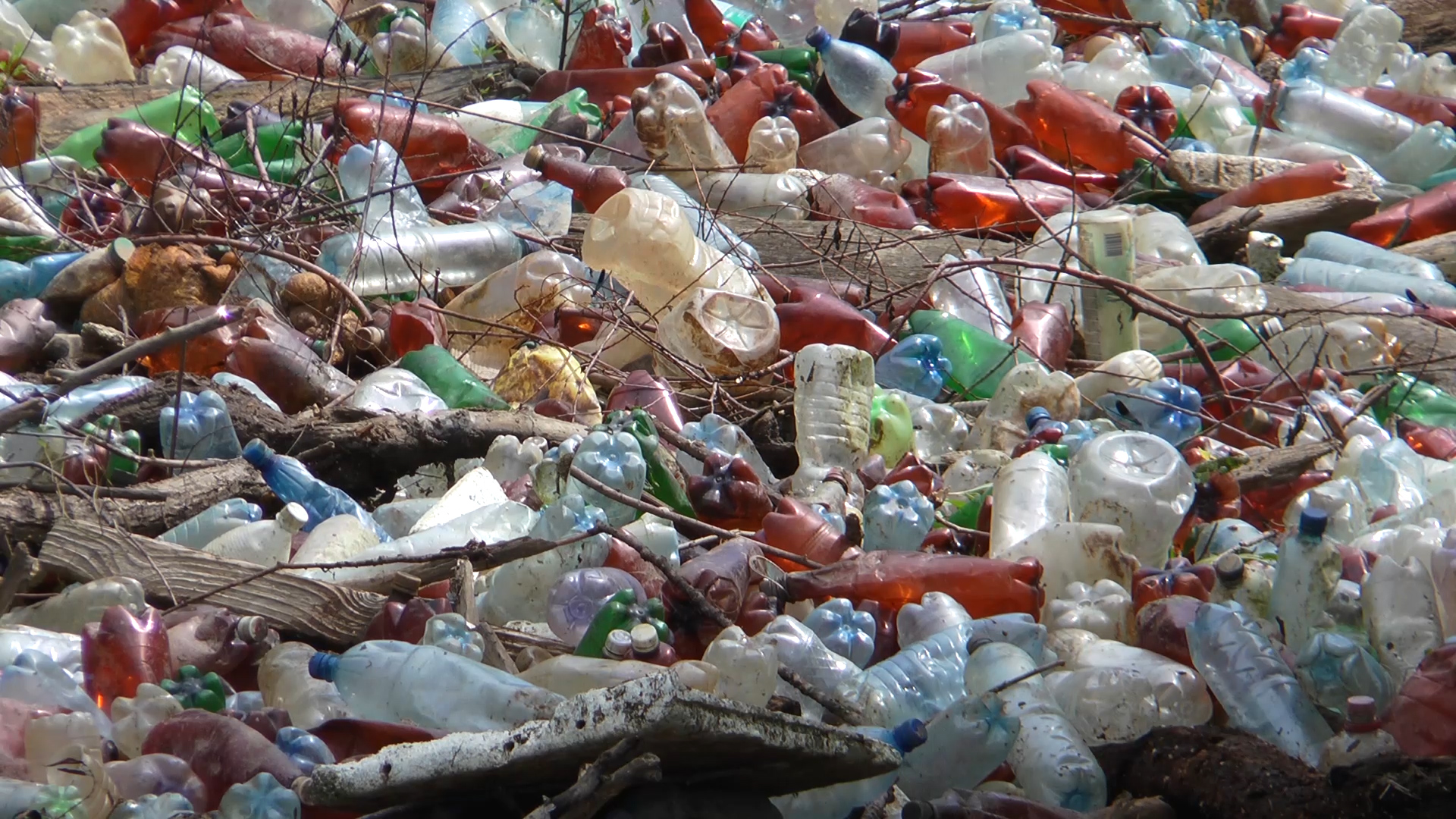 Екологи пояснили причину забруднених водойм та їхніх берегів на Закарпатті