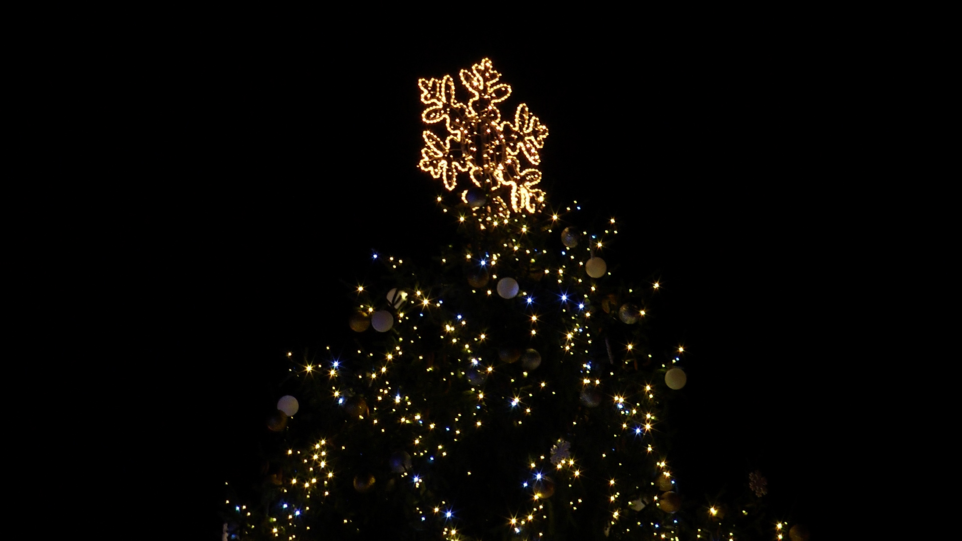 В Ужгороді засяяли вогні на ялинках міста