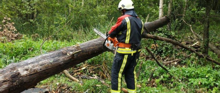 Повалені дерева та перекриті автошляхи на Свалявщині та Перечинщині: непогода на Закарпатті