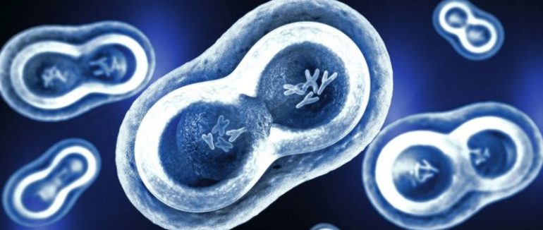 Covid-19 вбиває більше чоловіків, ніж жінок. Можливо, справа у генах