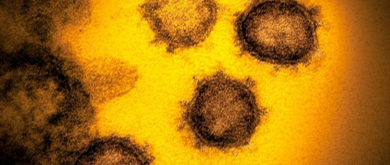 Коронавірус: вчені знайшли гени, від яких залежить важкість хвороби