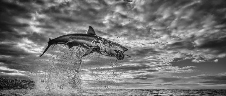 Головні фото 2020 року. Чим вони вражають?