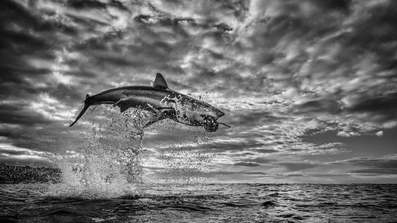 Головні фото 2020 року. Чим вони вражають?