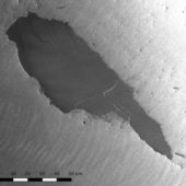 Смерть гіганта: розколовся один з найбільших айсбергів в історії