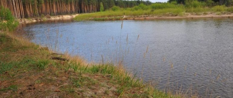 Роботи на річці Прип’ять загрожують мільйонам українців – Guardian