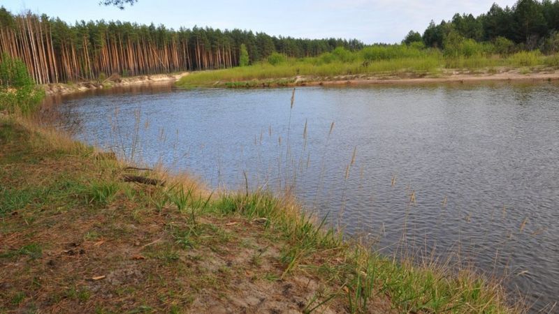 Роботи на річці Прип`ять загрожують мільйонам українців - Guardian