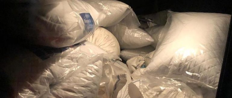 Понад 700 кілограмів бурштину без документів: на трасі “Київ – Чоп” зупинили вантажівку