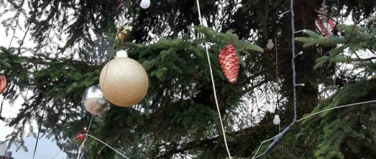 Свято наближається: в Ужгороді та Тячеві прикрашають новорічних красунь