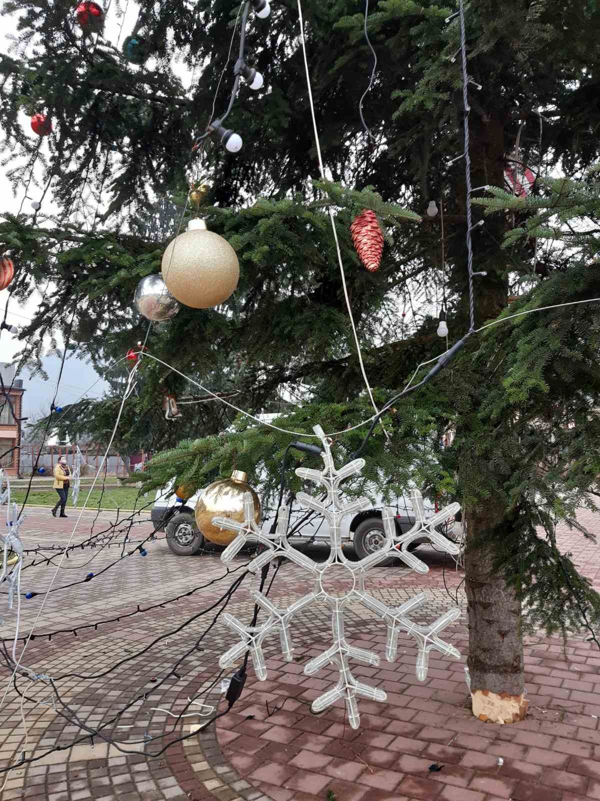 Свято наближається: в Ужгороді та Тячеві прикрашають новорічних красунь