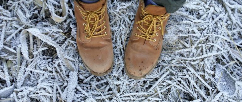 На Закарпатті очікується пониження температури
