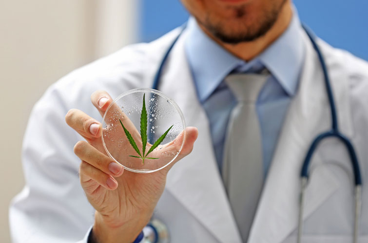 ООН виключила канабіс зі списку найнебезпечніших наркотиків