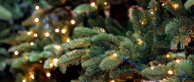 Понад 80 тисяч гривень: вартість цьогорічного оздоблення головної ялинки Ужгорода