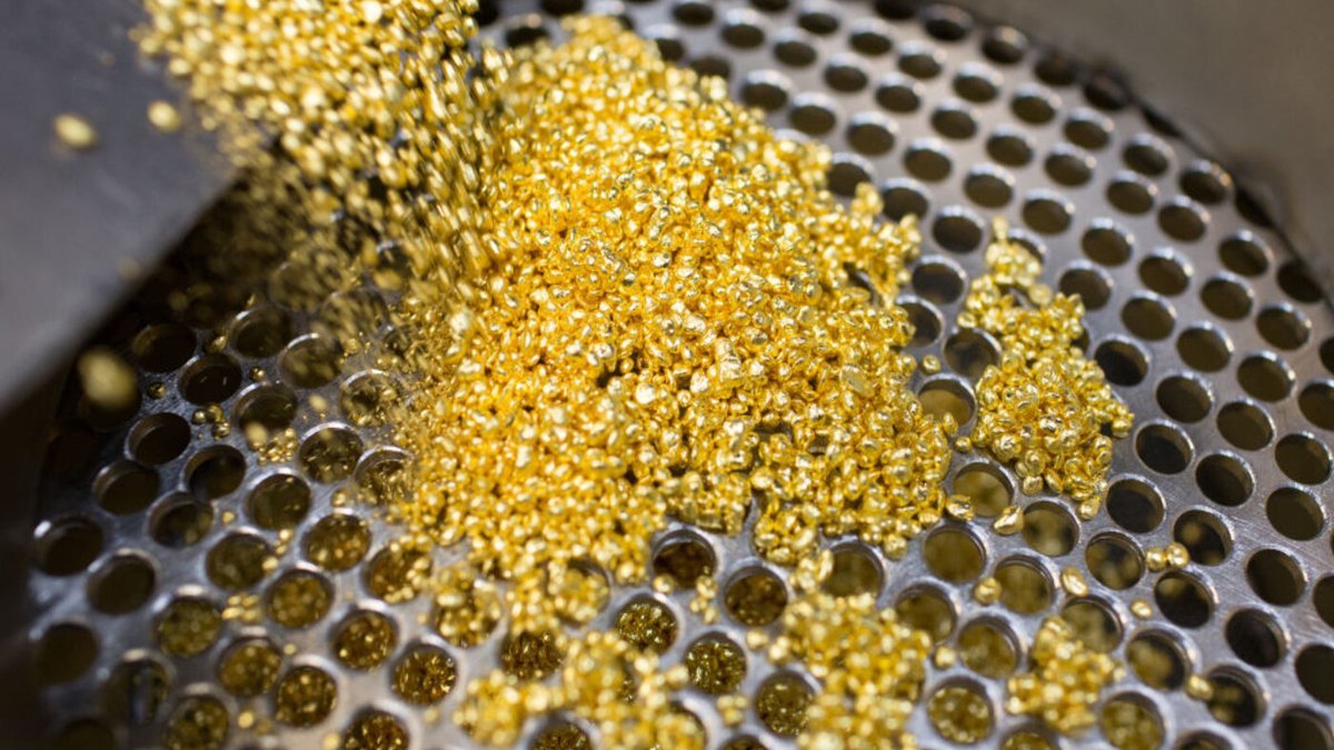 Україна вперше виставила на аукціон ділянку з покладами золота: де вони знаходяться та що відомо