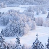 31 грудня – яке нині свято та що не можна робити