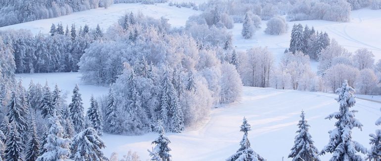 31 грудня – яке нині свято та що не можна робити