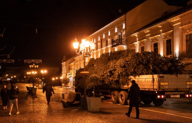 В центрі Мукачева та Ужгорода вже встановлені новорічні красуні
