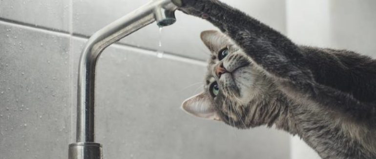 Сьогодні частина Ужгорода залишиться без водопостачання