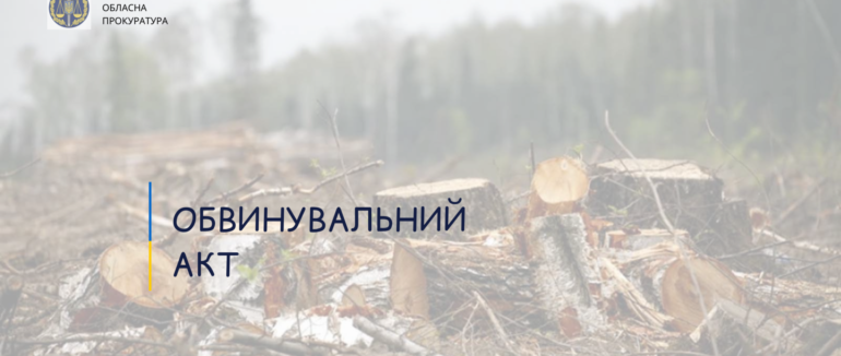 Збитки у понад 100 тисяч гривень: незаконні рубки лісу на Закарпатті