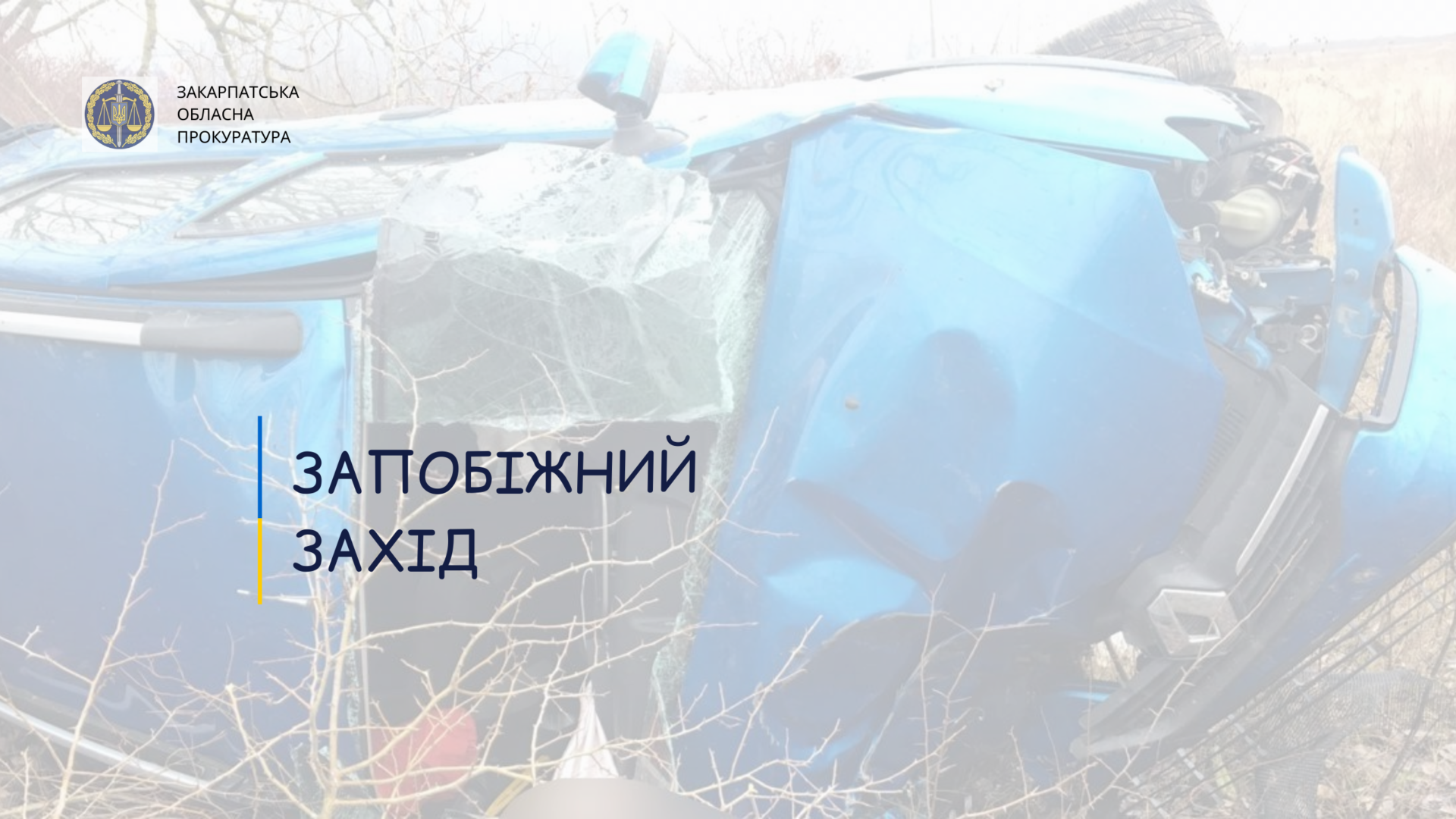 Смертельна ДТП на Берегівщині: винуватця взято під варту
