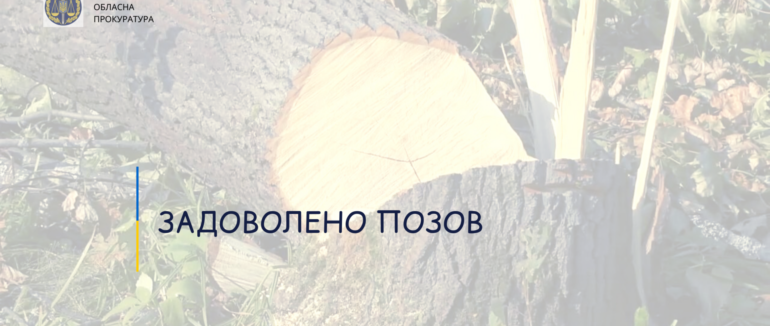 Незаконна порубка лісу на Закарпатті: майже 230 тисяч гривень стягнуть з двох громадян