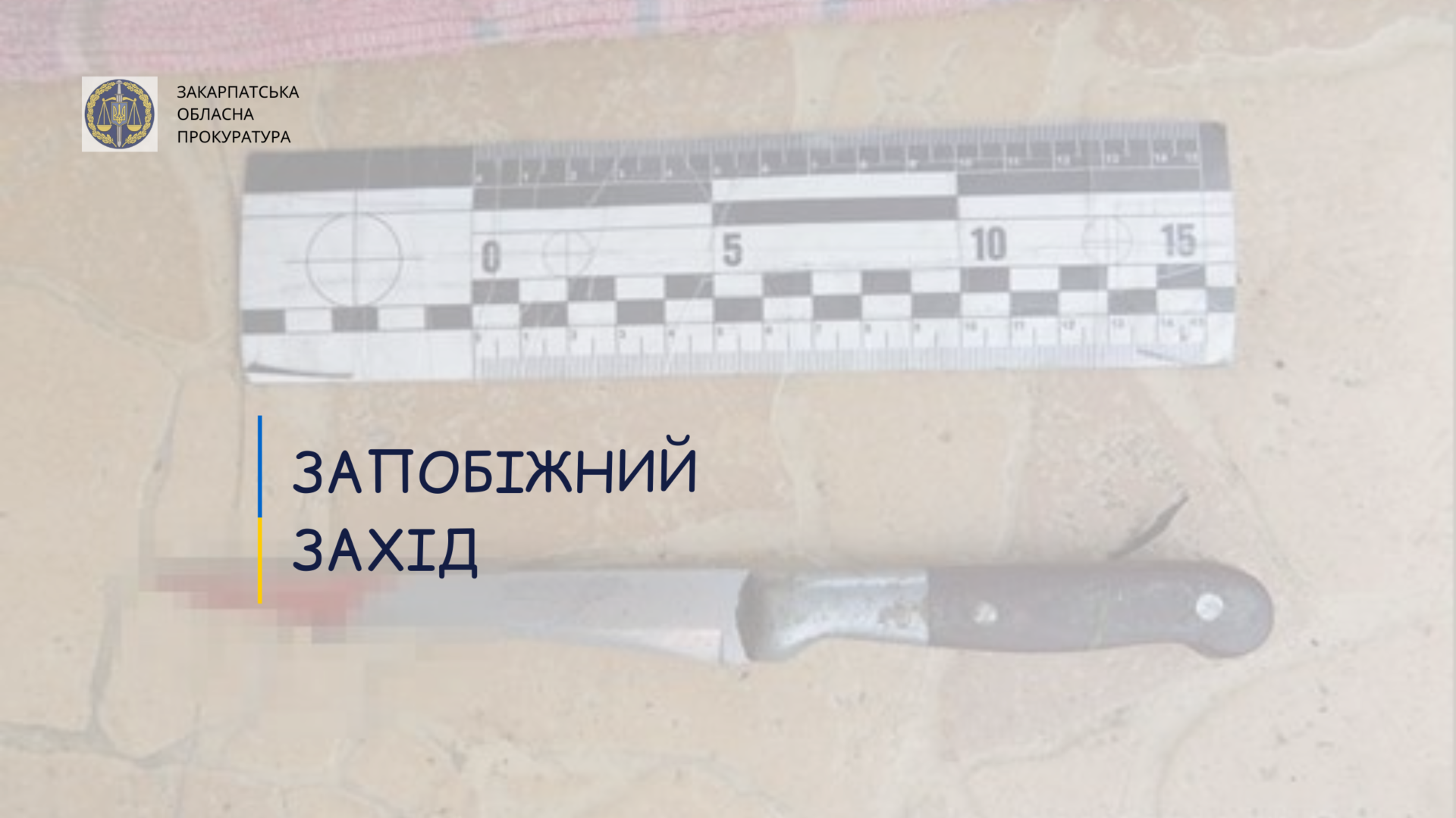 Забив брата до смерті: на Хустщині підозрюваному обрано запобіжний захід