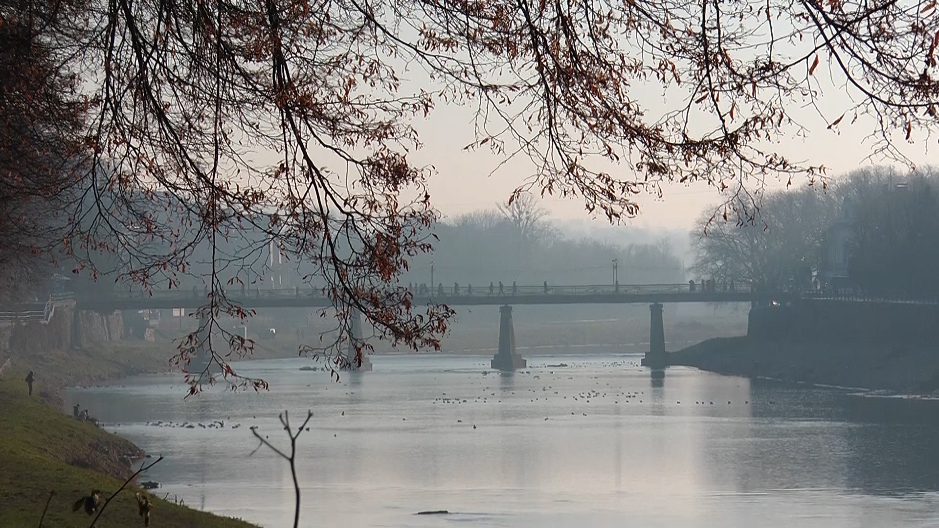 Правила безпеки: закарпатцям розповіли як вберегти оселю від розбійного нападу