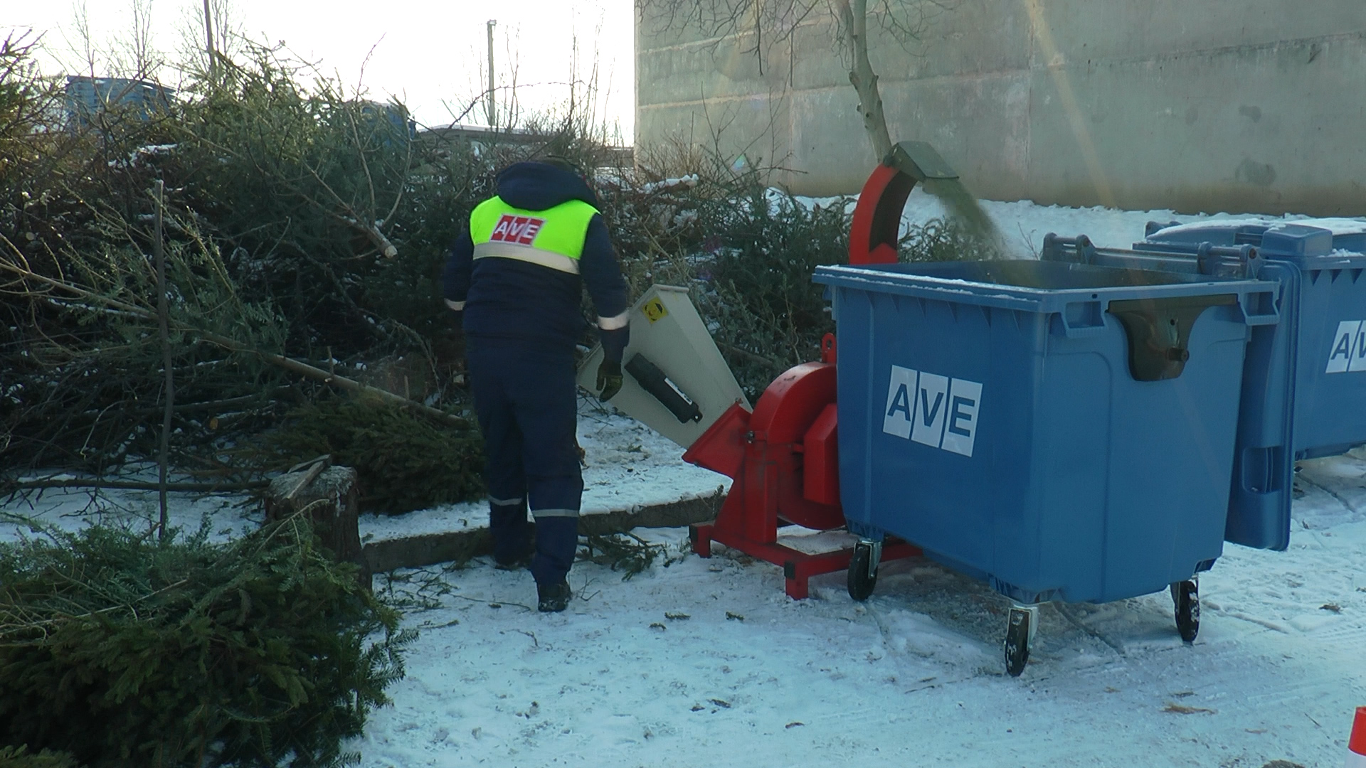 В Ужгороді комунальники прохають залишати ялинки поблизу контейнерів