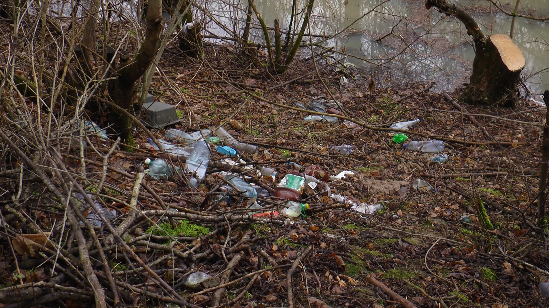 Сміттєва катастрофа: на Закарпатті утворюються пластикові «континенти»