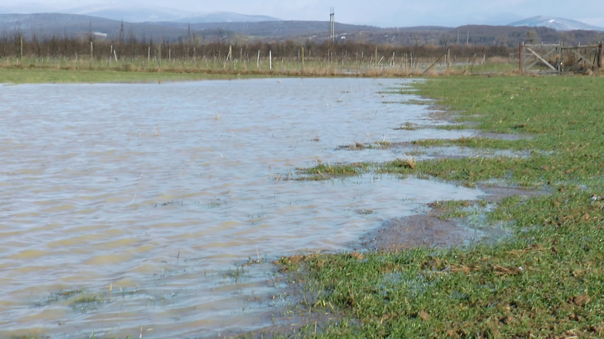 Причини паводків на Закарпатті: чим небезпечна і як уникнути паводкової хвилі