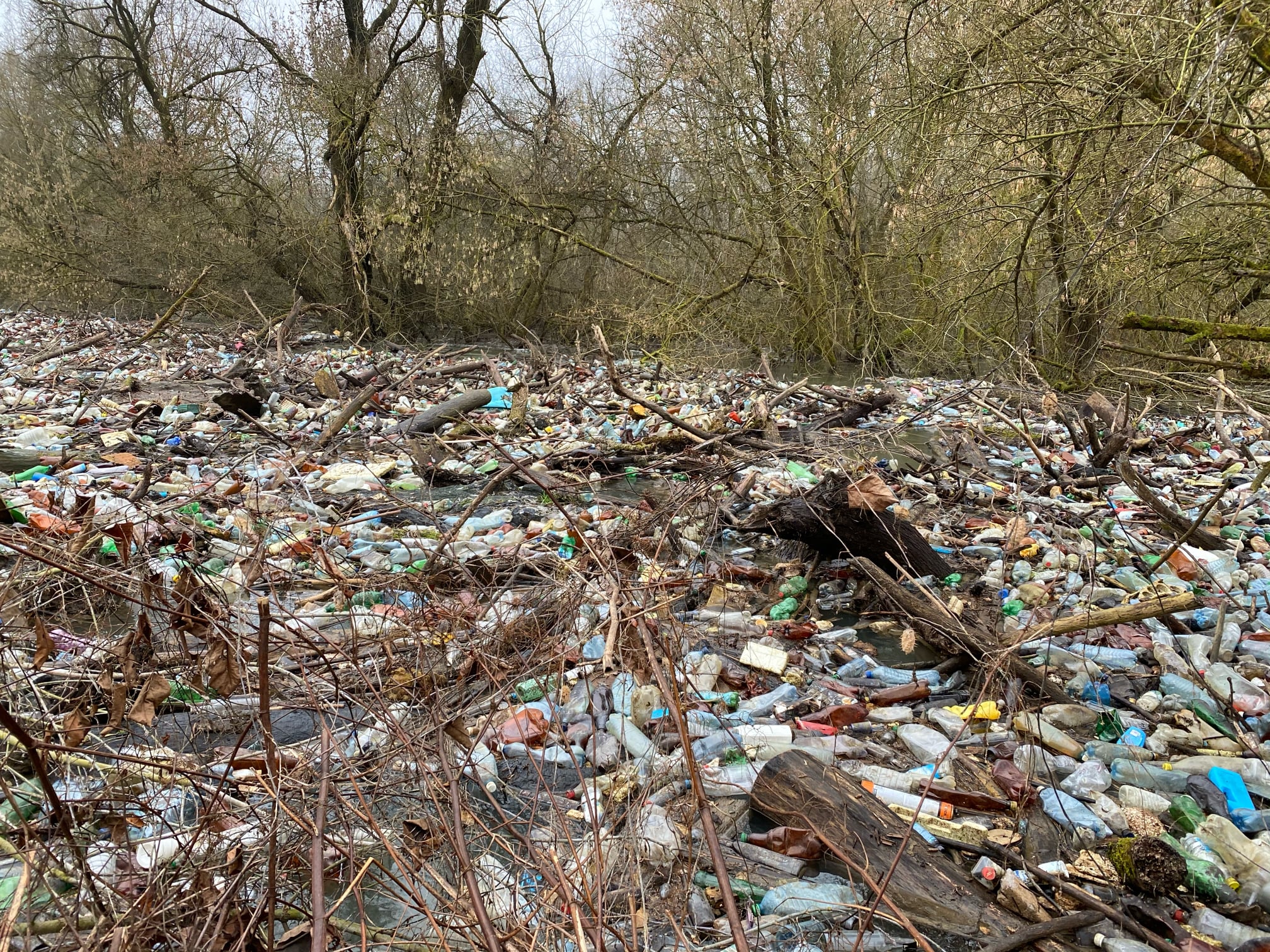 На Мукачівщині виявили найбільший пластиковий затор річки Латориця