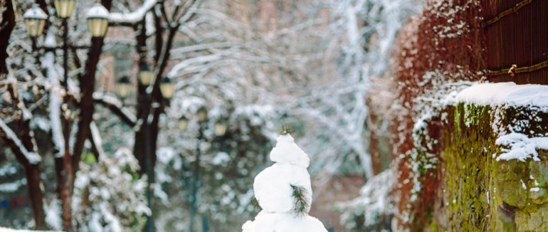 Зима не перестає дивувати: мережею ширяться фото засніженого Закарпаття