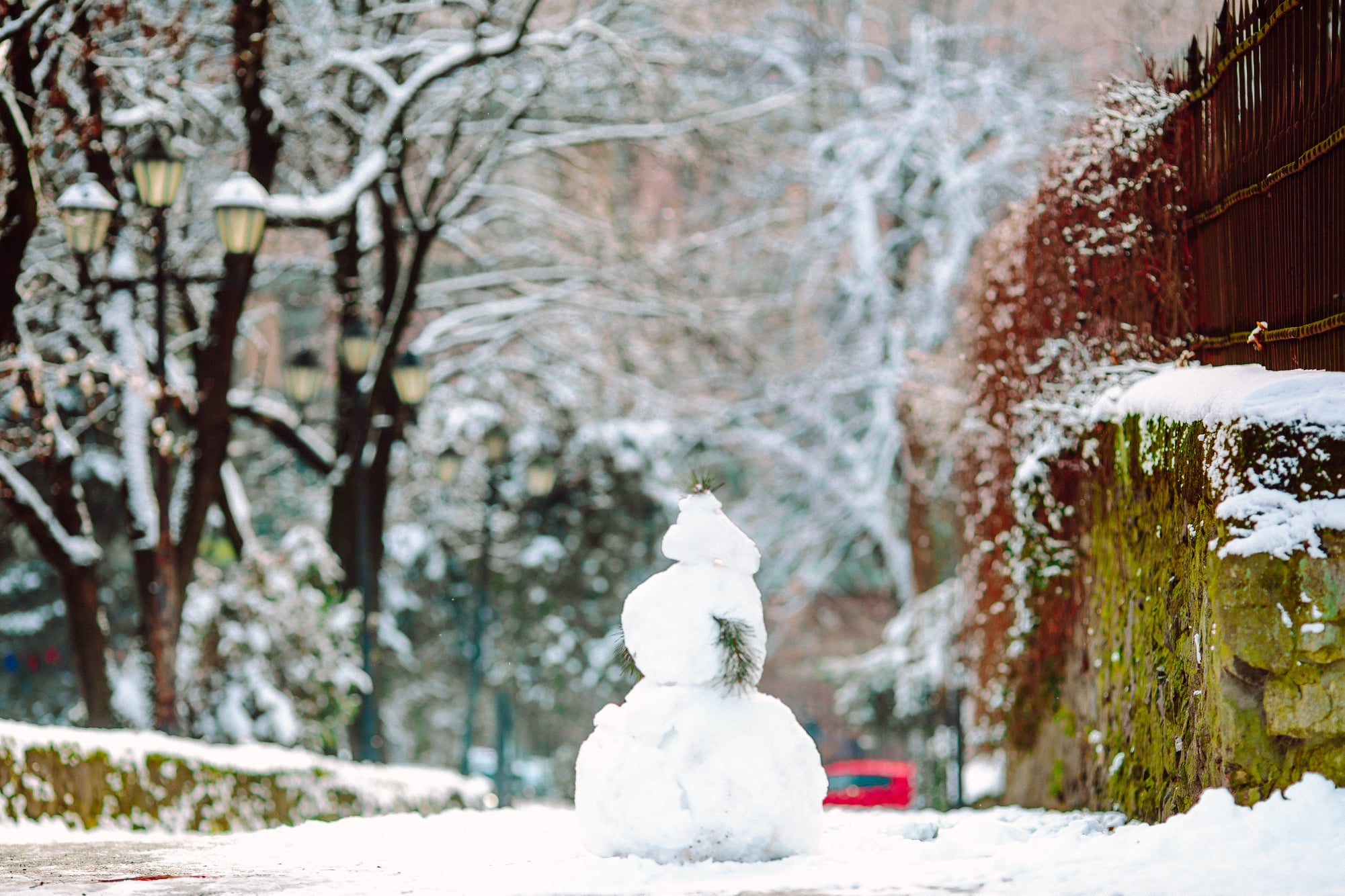 Зима не перестає дивувати: мережею ширяться фото засніженого Закарпаття