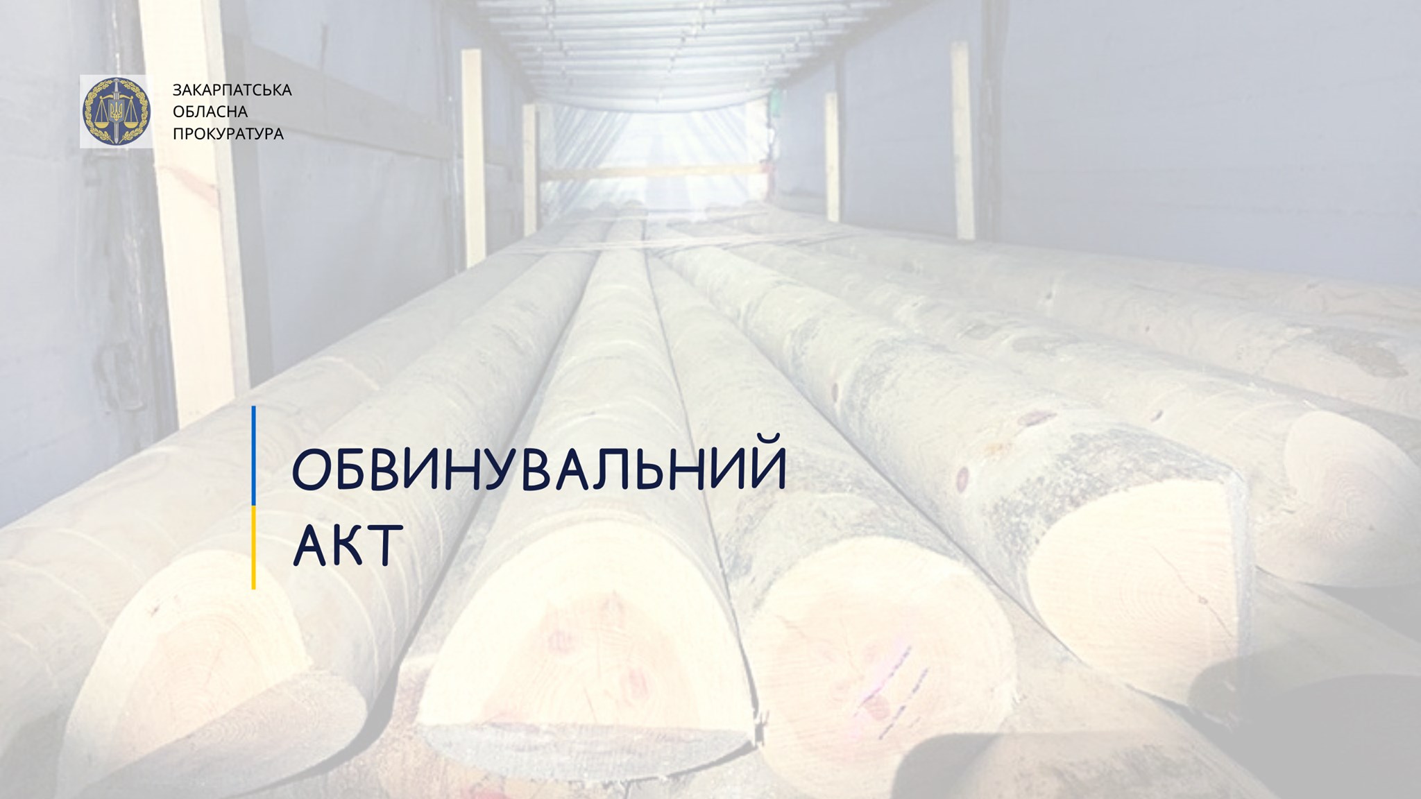 На Закарпатті судитимуть іноземця за організацію та експорт лісоматеріалів через ПП "Дякове"
