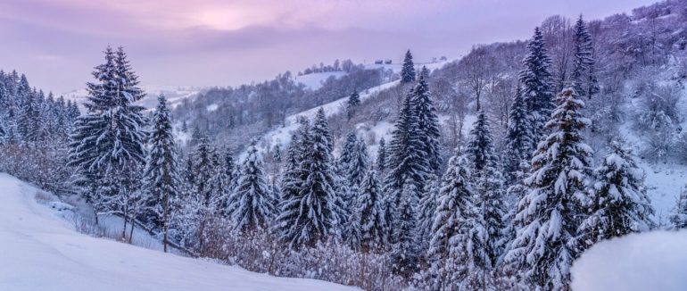 Гори, озеро та ведмеді: “засніжені” світлини зимового Закарпаття
