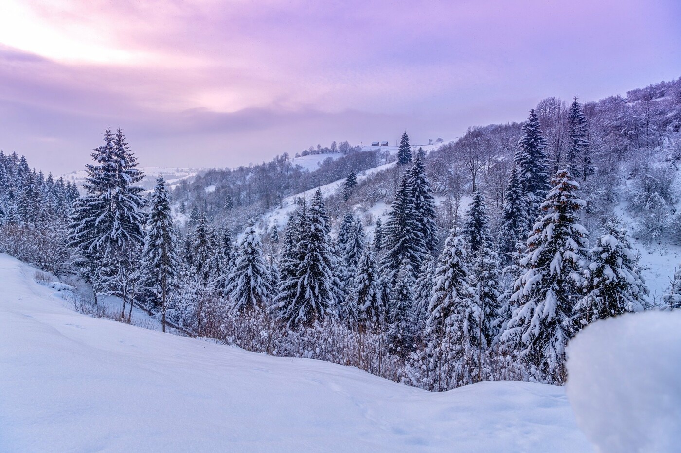 Гори, озеро та ведмеді: "засніжені" світлини зимового Закарпаття