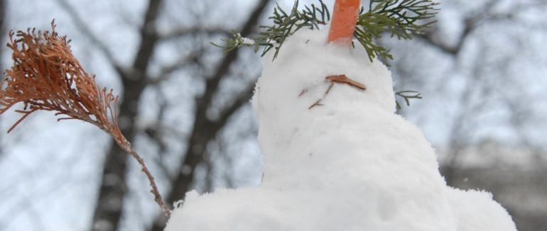 Сніг і дощі, морози і весняне тепло: який останній тиждень січня буде в Україні