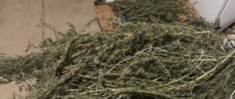 8 років позбавлення волі: на Закарпатті судитимуть наркоторговця