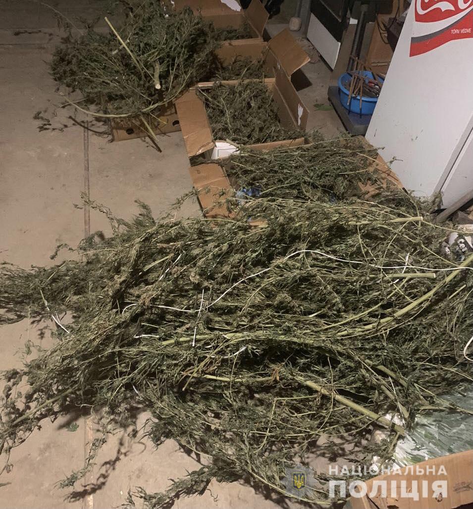 8 років позбавлення волі: на Закарпатті судитимуть наркоторговця