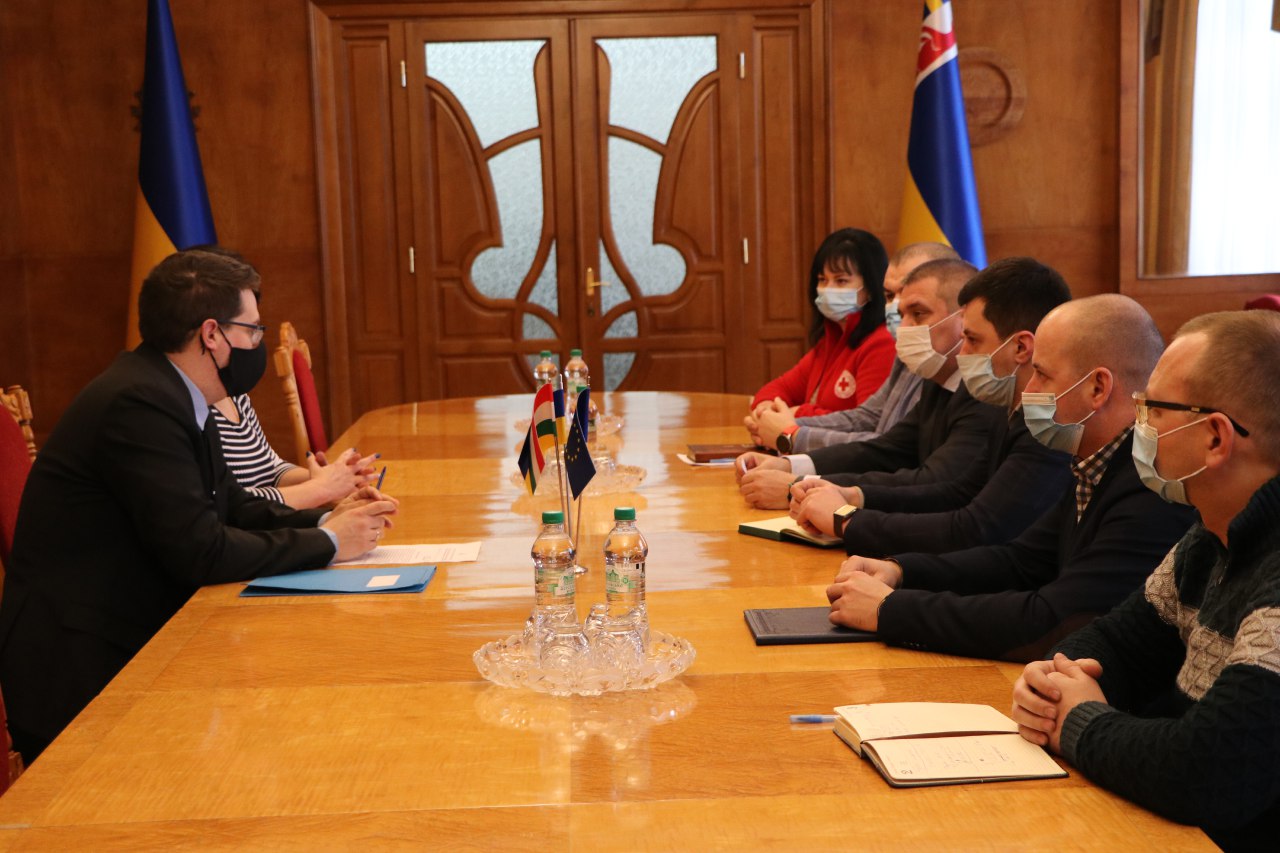 Угорщина надасть Закарпаттю 2 тисячі доз вакцин від сказу для імунізації маленьких закарпатців